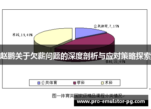 赵鹏关于欠薪问题的深度剖析与应对策略探索