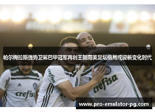 帕尔梅拉斯强势卫冕巴甲冠军再创王朝南美足坛格局或迎新变化时代 帕尔梅拉斯强势卫冕巴甲冠军再创王朝南美足坛格局或迎新变化时代