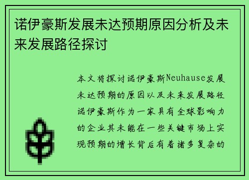 诺伊豪斯发展未达预期原因分析及未来发展路径探讨 诺伊豪斯发展未达预期原因分析及未来发展路径探讨