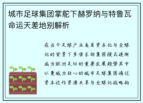 城市足球集团掌舵下赫罗纳与特鲁瓦命运天差地别解析