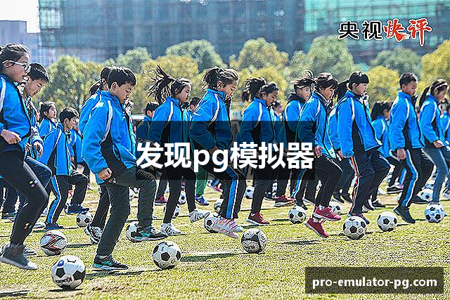 发现pg模拟器